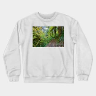 850_2740 Crewneck Sweatshirt